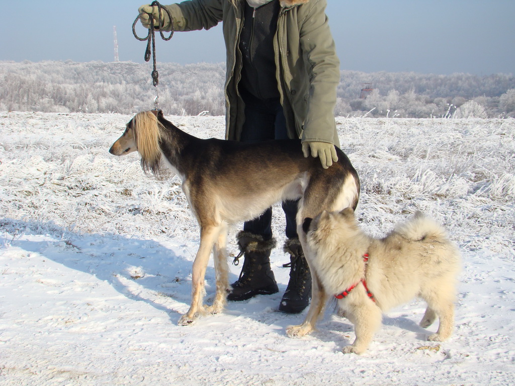 Bankov 25.12.2007