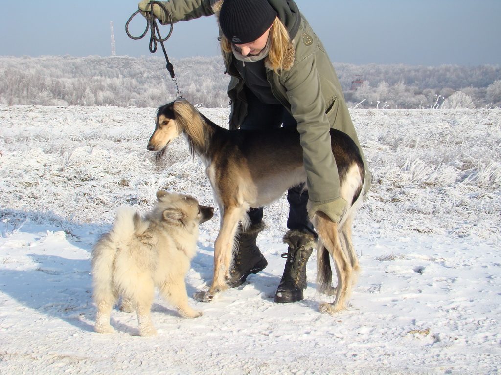 Bankov 25.12.2007