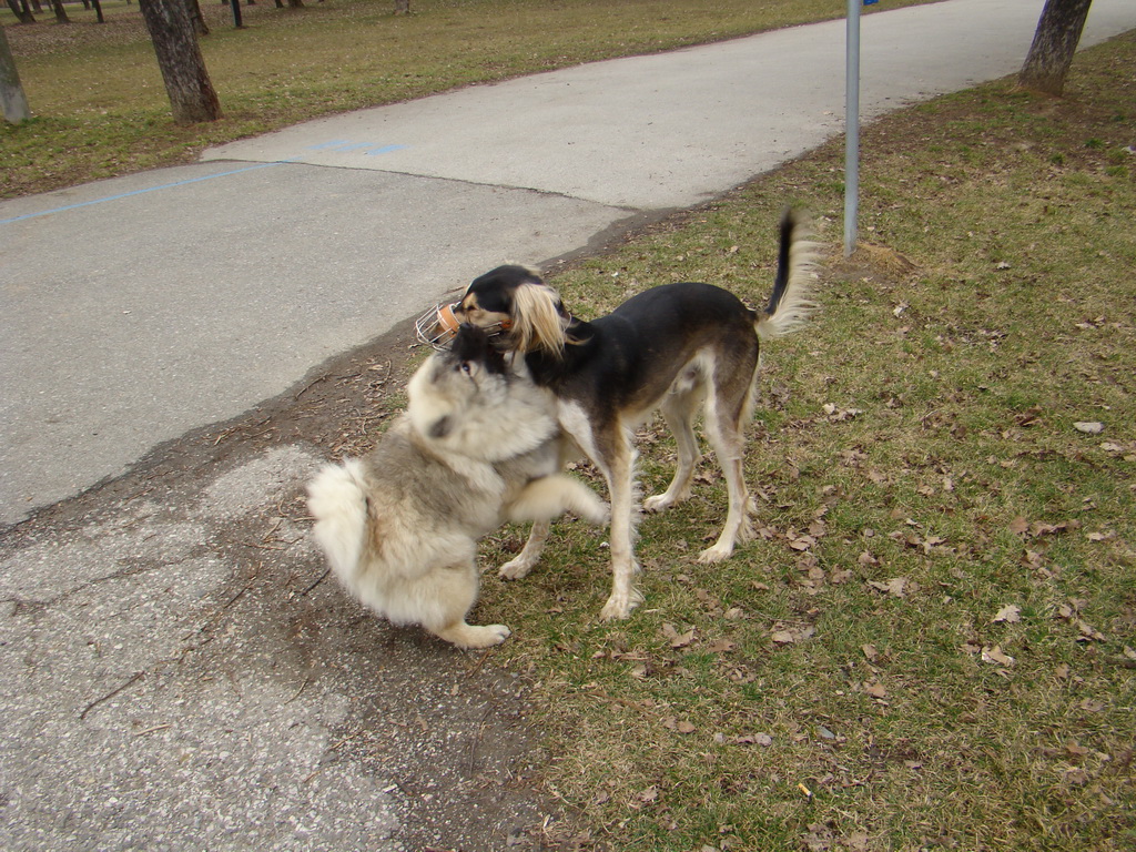 Anička 09.03.2008