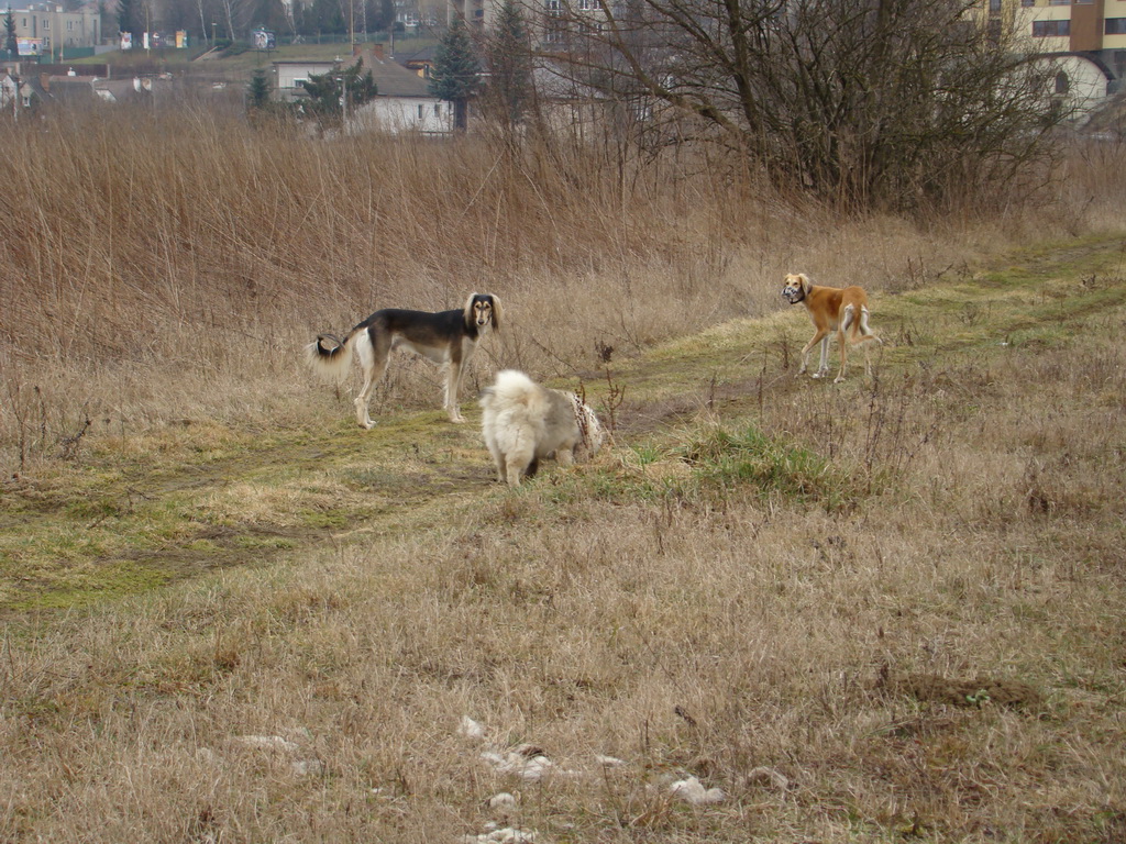 Anička 09.03.2008