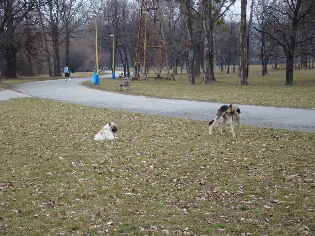 Anička 09.03.2008