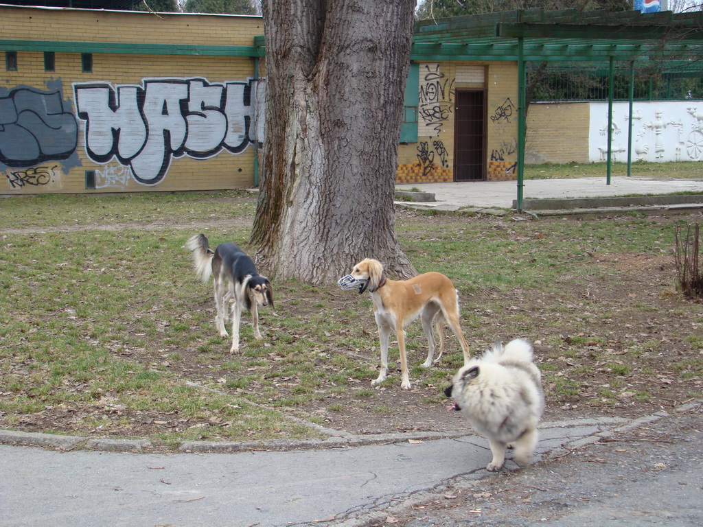 Anička 09.03.2008