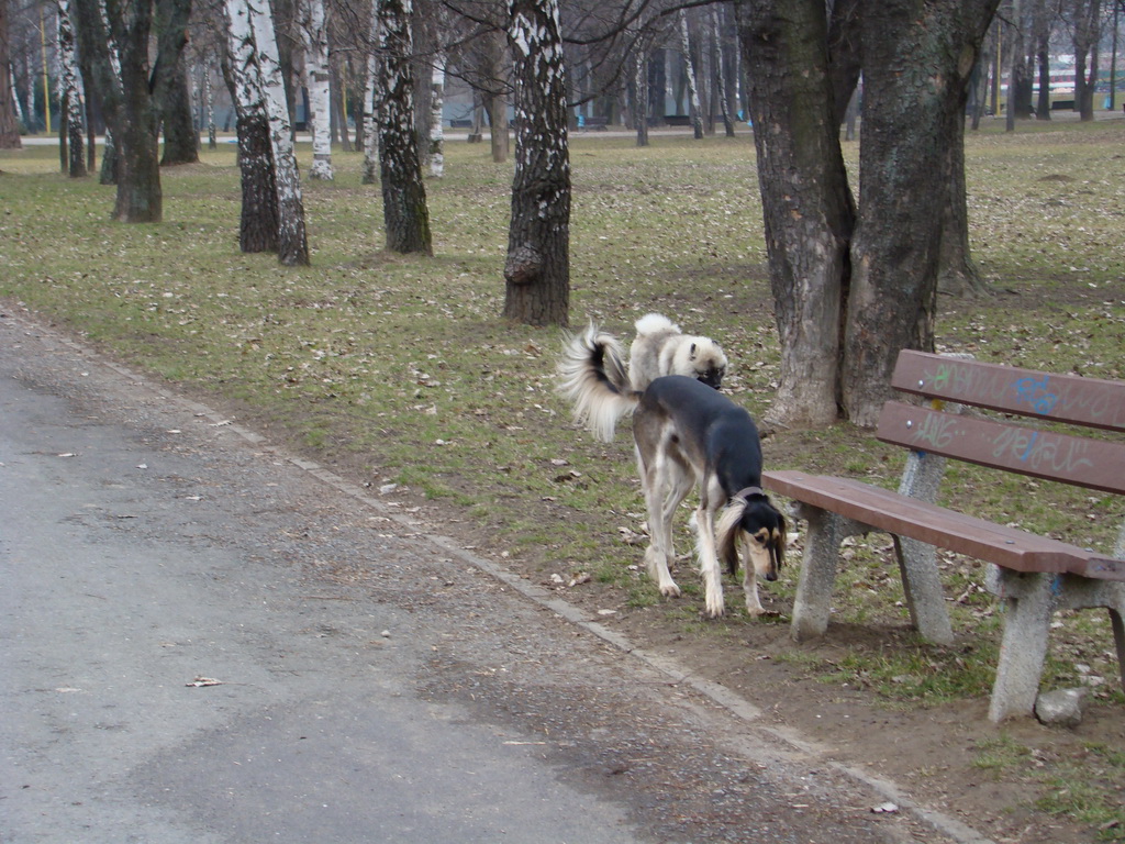 Anička 09.03.2008