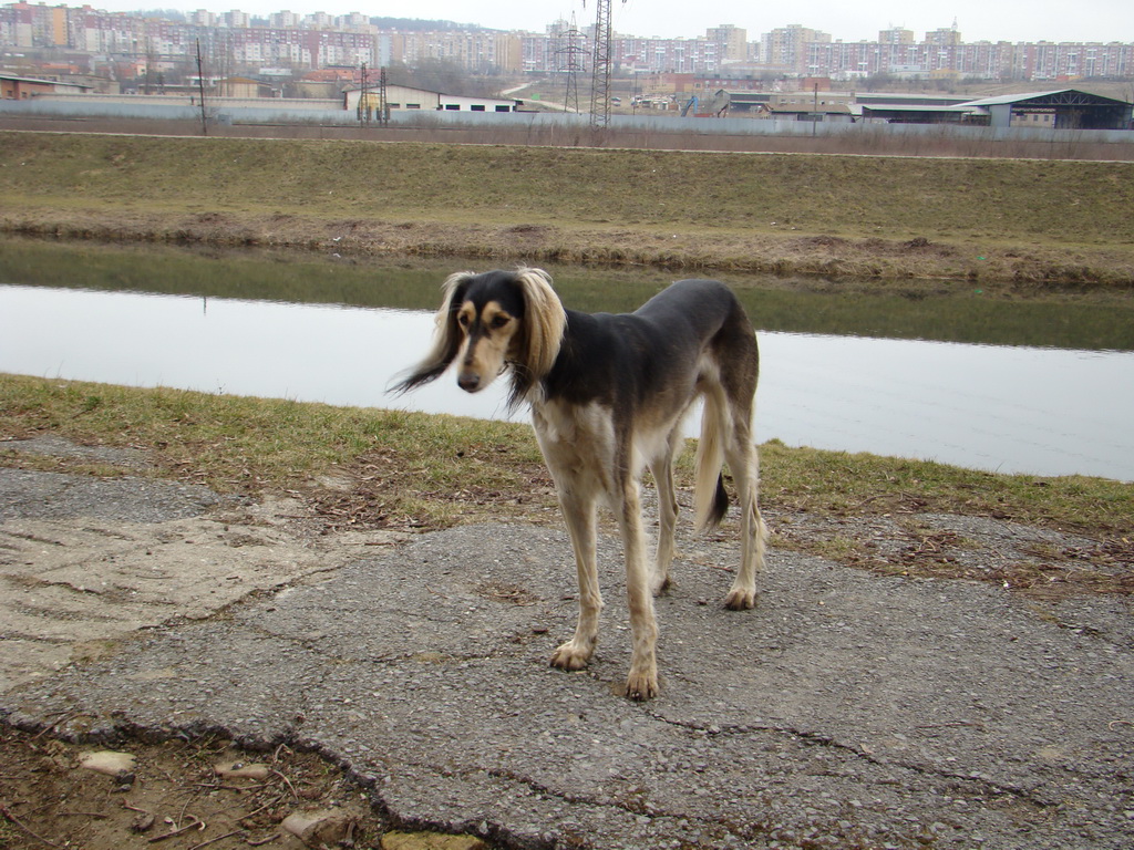 Anička 09.03.2008