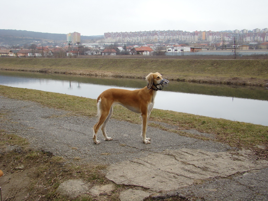 Anička 09.03.2008