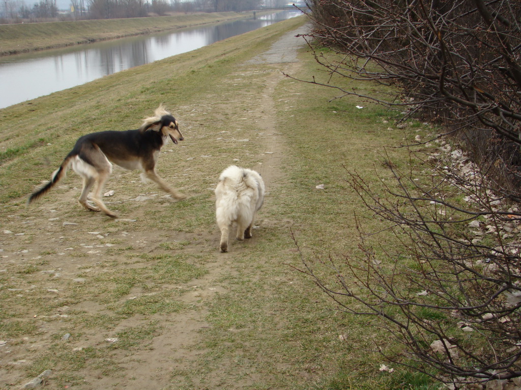 Anička 09.03.2008