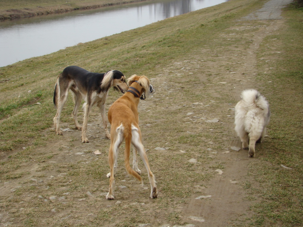 Anička 09.03.2008