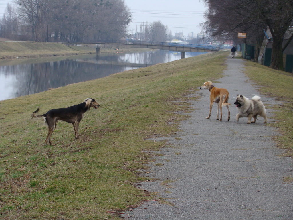 Anička 09.03.2008