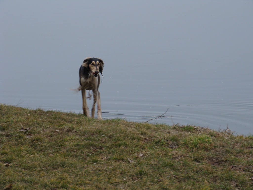 Anička 09.03.2008