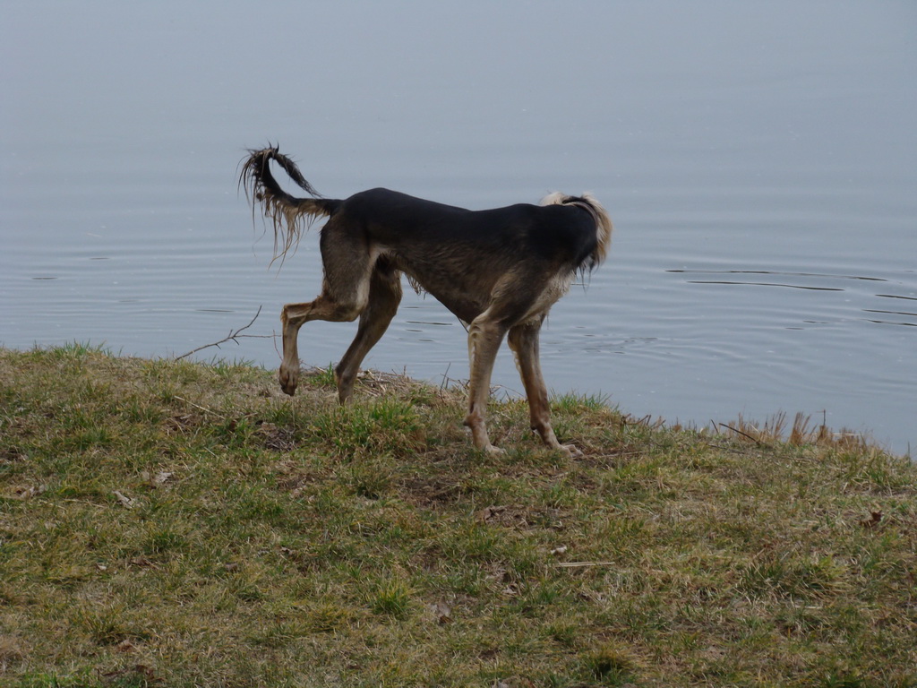 Anička 09.03.2008