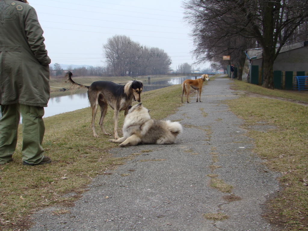 Anička 09.03.2008