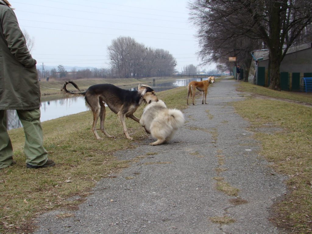 Anička 09.03.2008