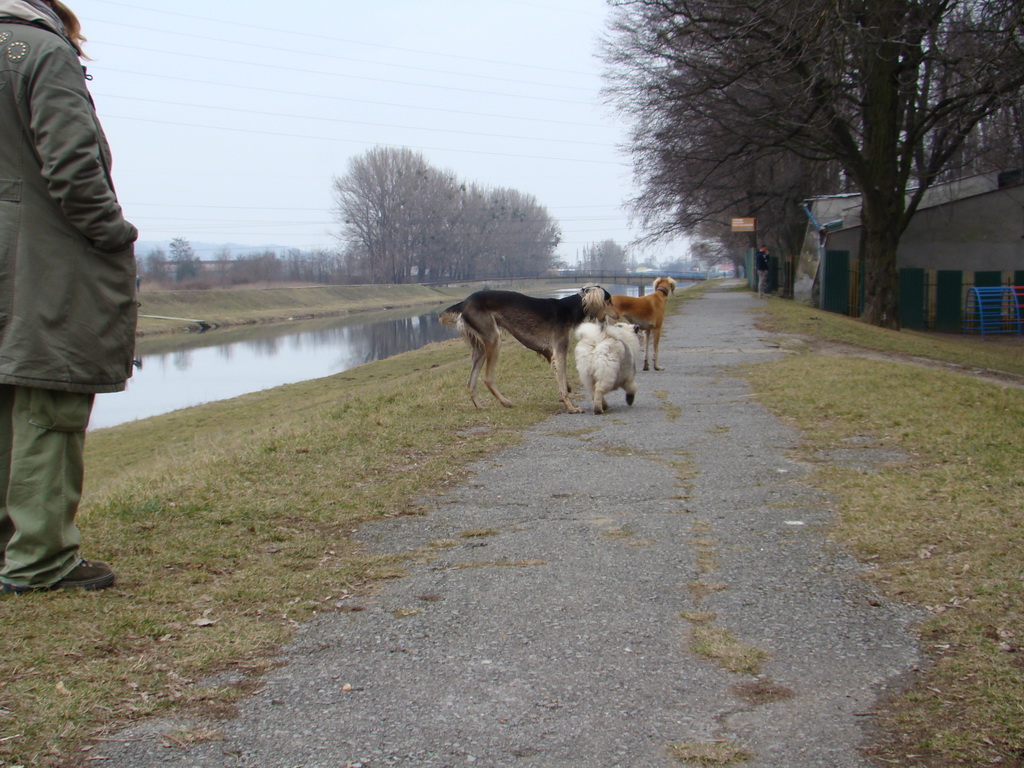 Anička 09.03.2008