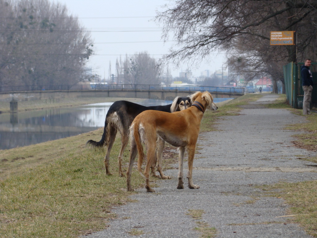 Anička 09.03.2008