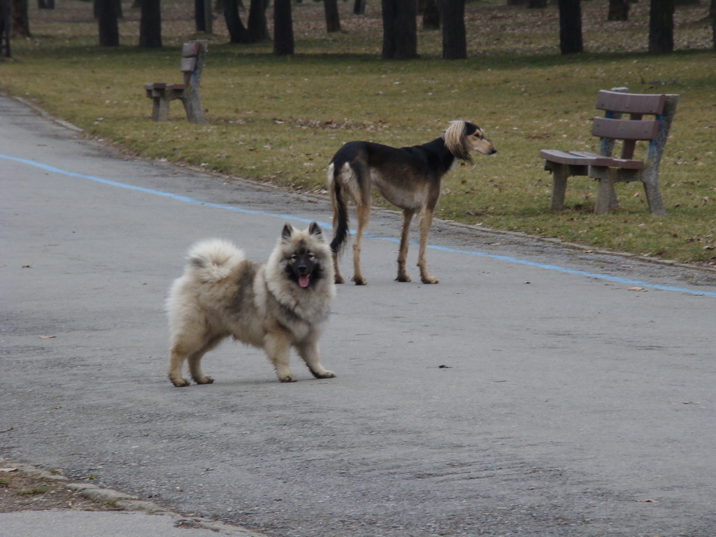 Anička 09.03.2008