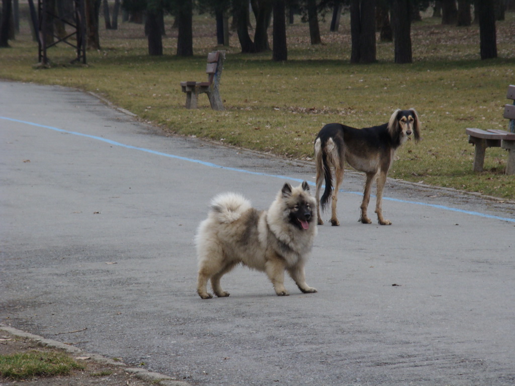 Anička 09.03.2008