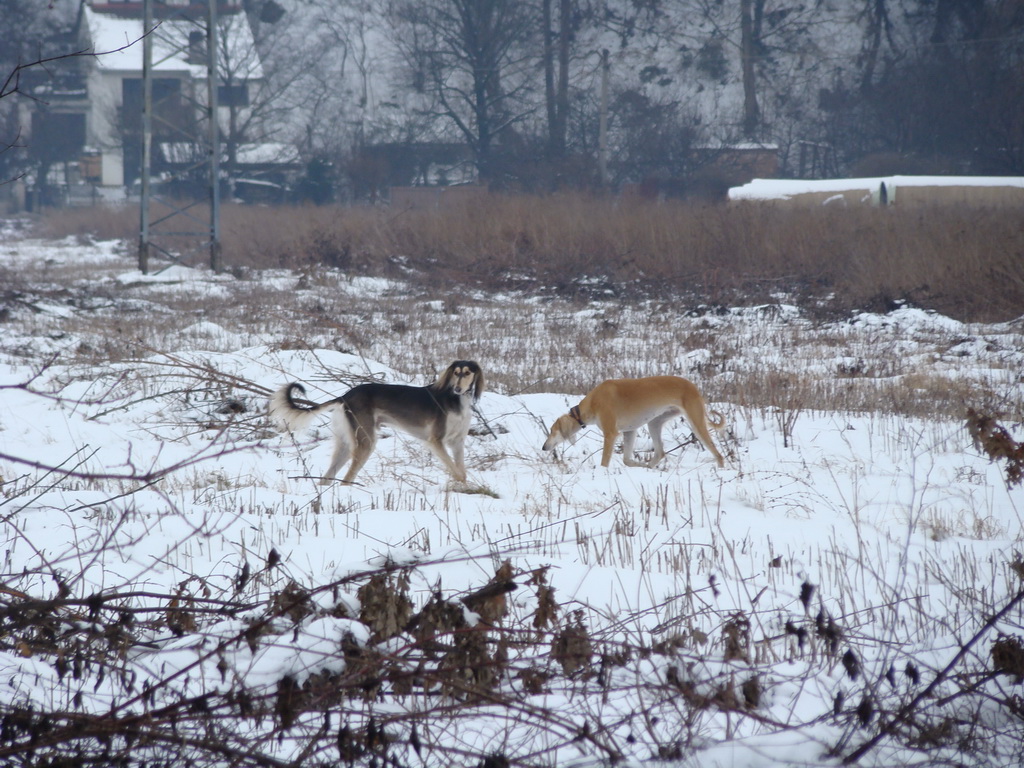 Anička 12.1.2008