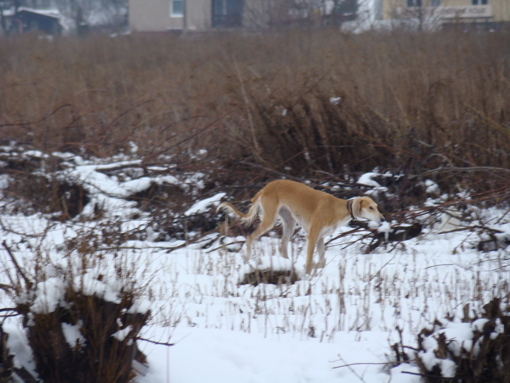 Anička 12.1.2008