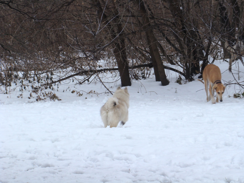 Anička 12.1.2008