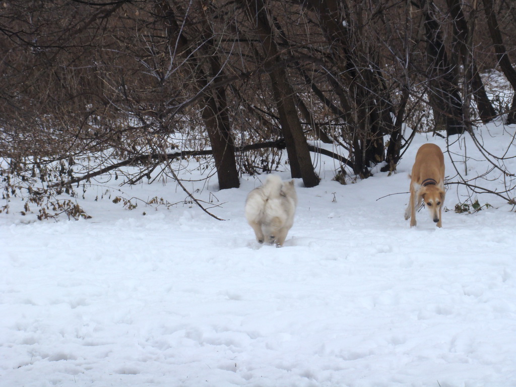 Anička 12.1.2008