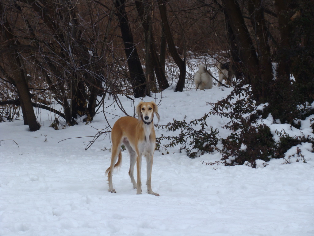 Anička 12.1.2008