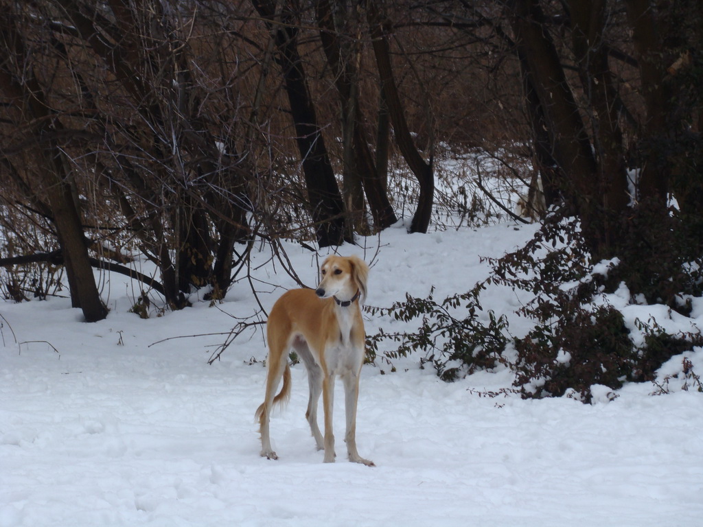 Anička 12.1.2008