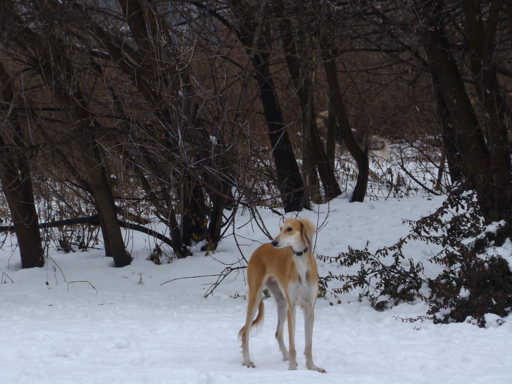 Anička 12.1.2008