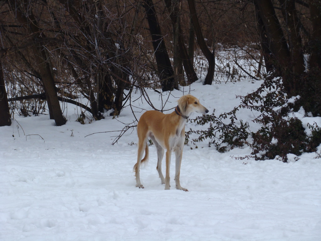 Anička 12.1.2008