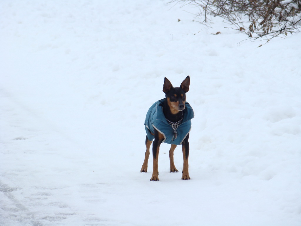 Anička 12.1.2008