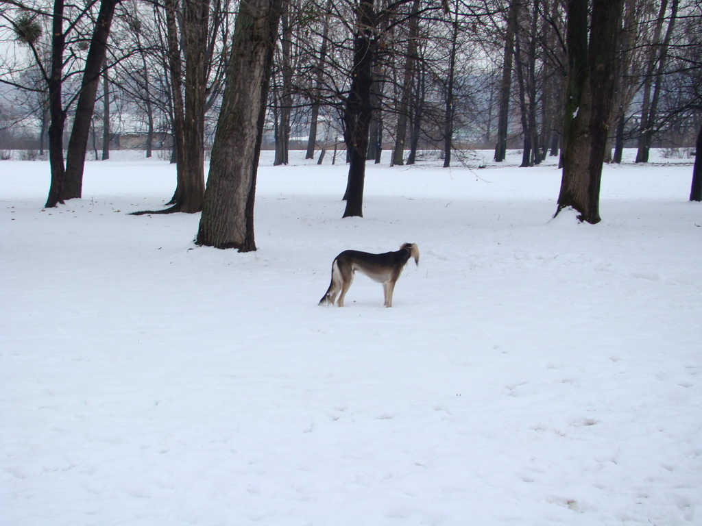 Anička 12.1.2008