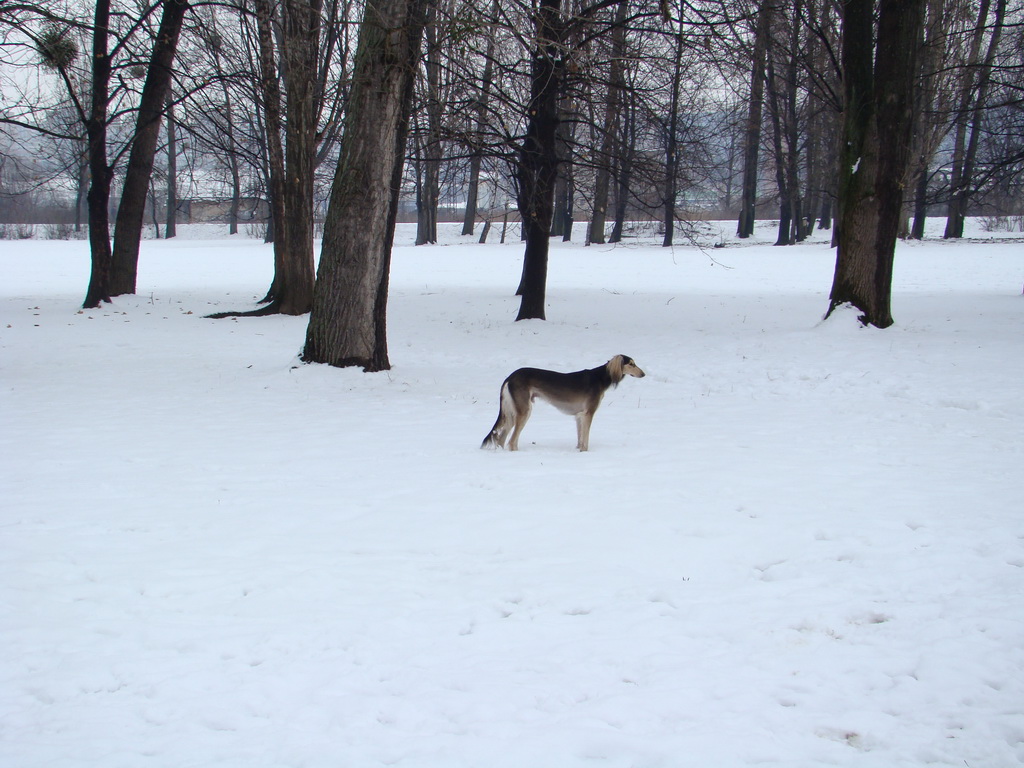 Anička 12.1.2008