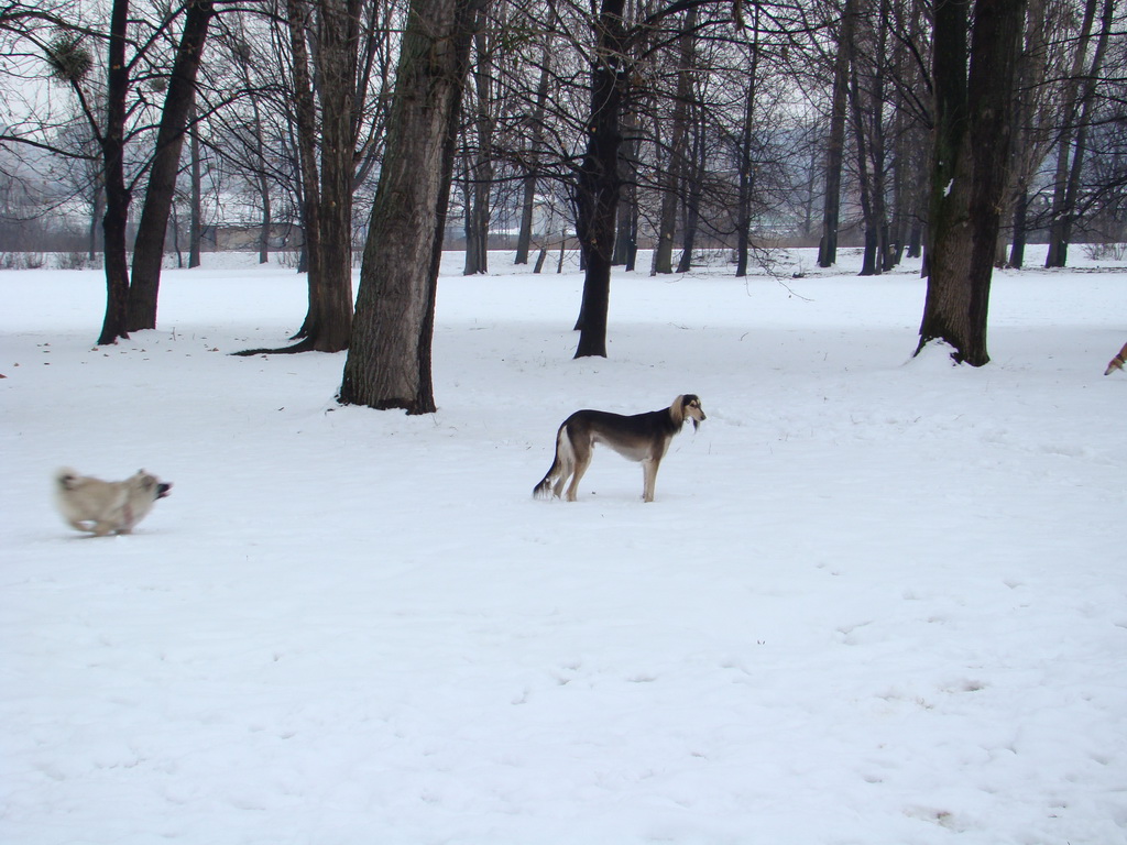 Anička 12.1.2008