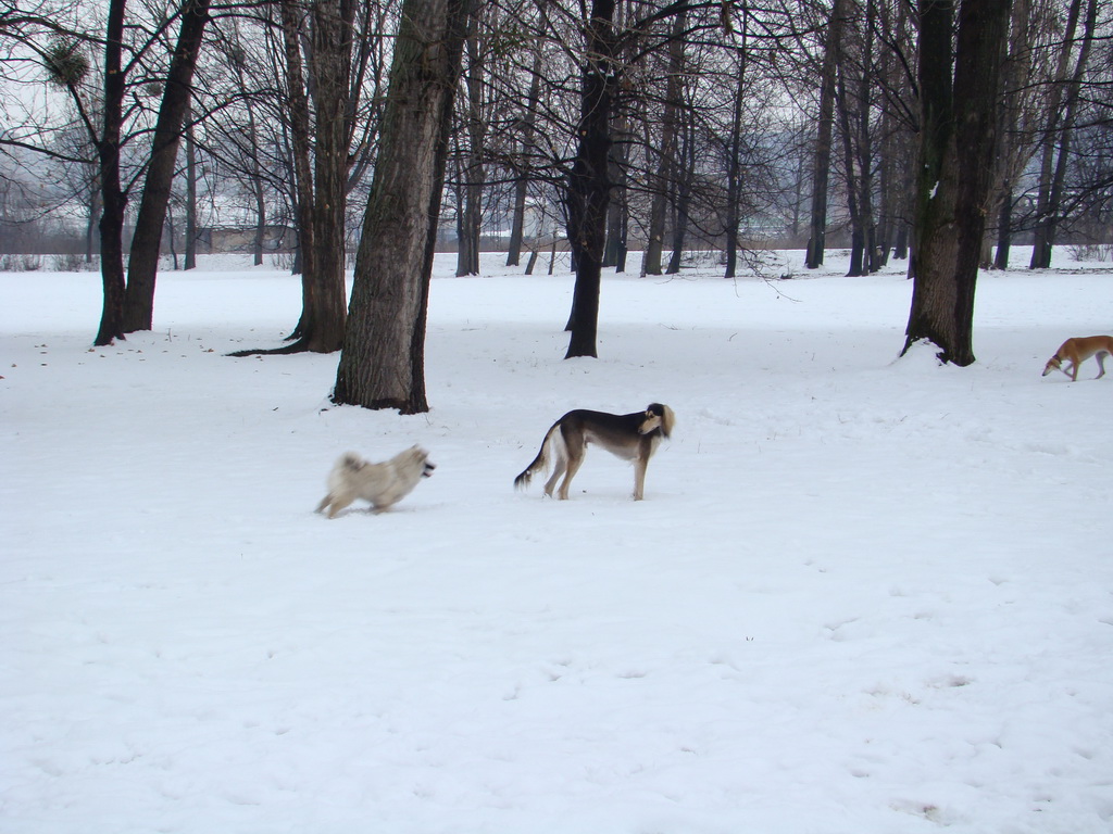 Anička 12.1.2008