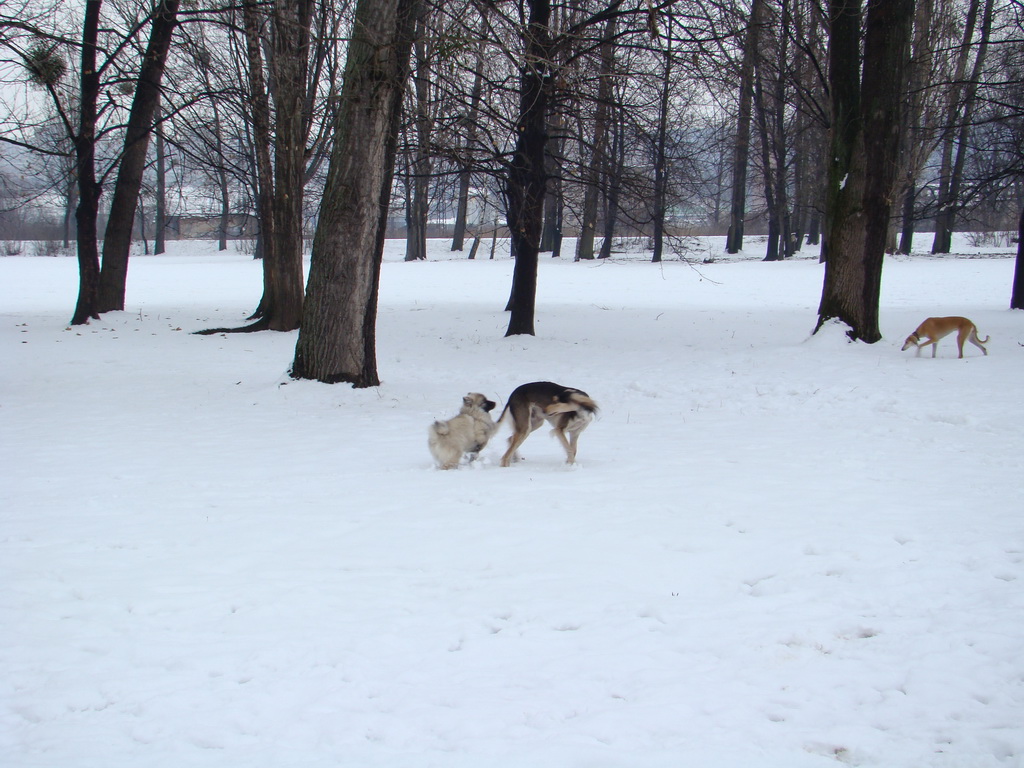 Anička 12.1.2008