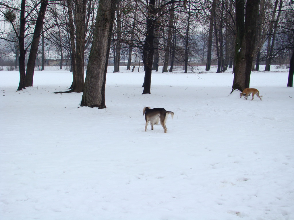 Anička 12.1.2008