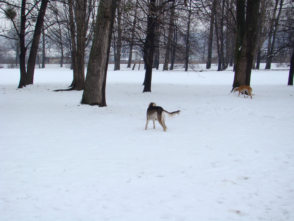 Anička 12.1.2008