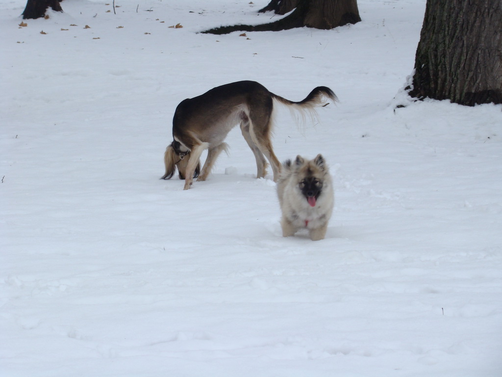 Anička 12.1.2008