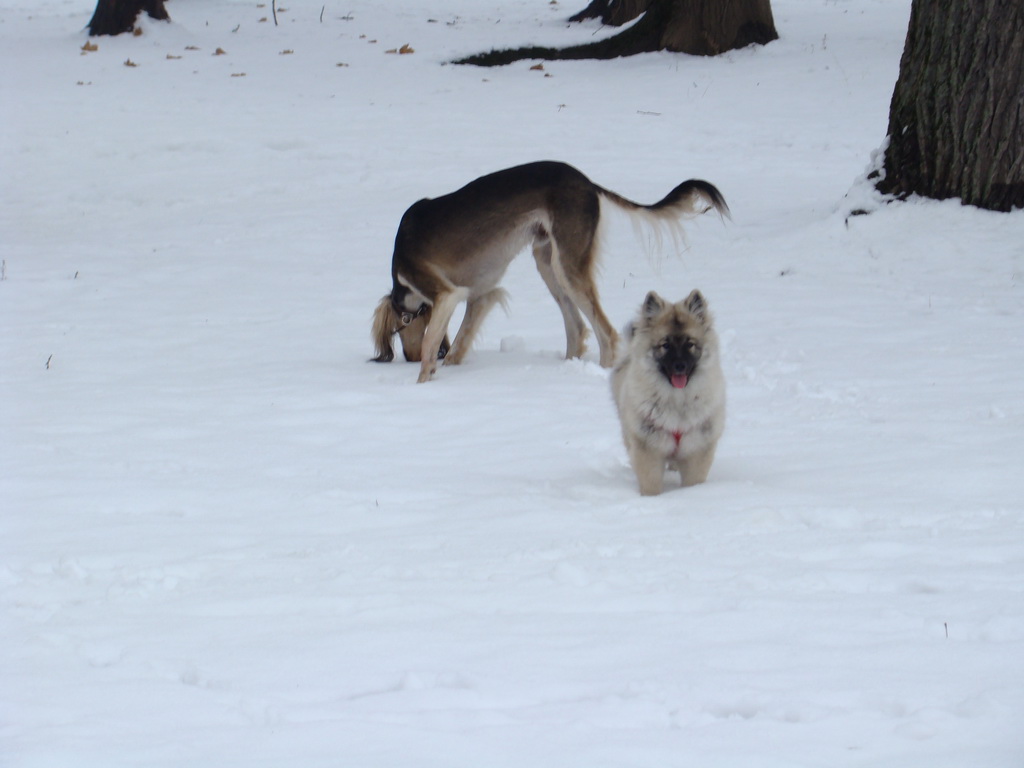 Anička 12.1.2008