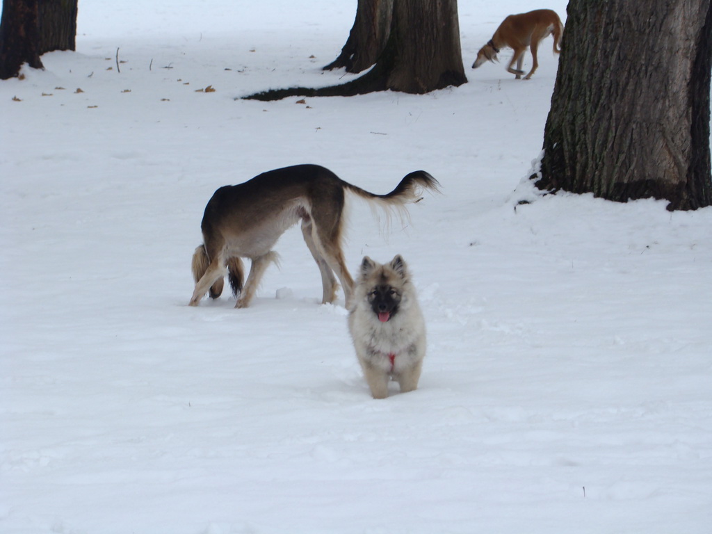 Anička 12.1.2008