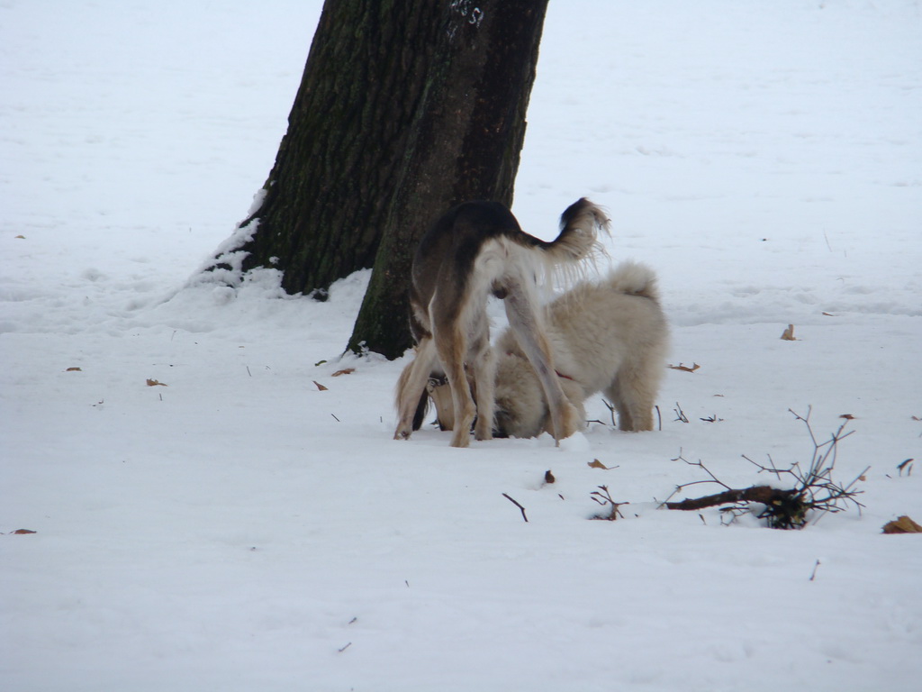 Anička 12.1.2008