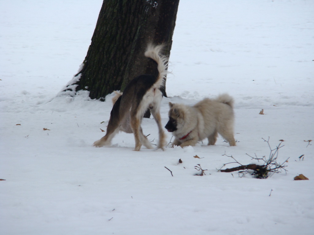 Anička 12.1.2008