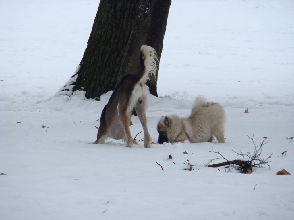 Anička 12.1.2008