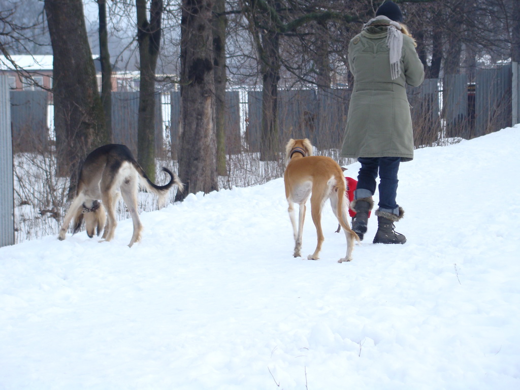 Anička 12.1.2008