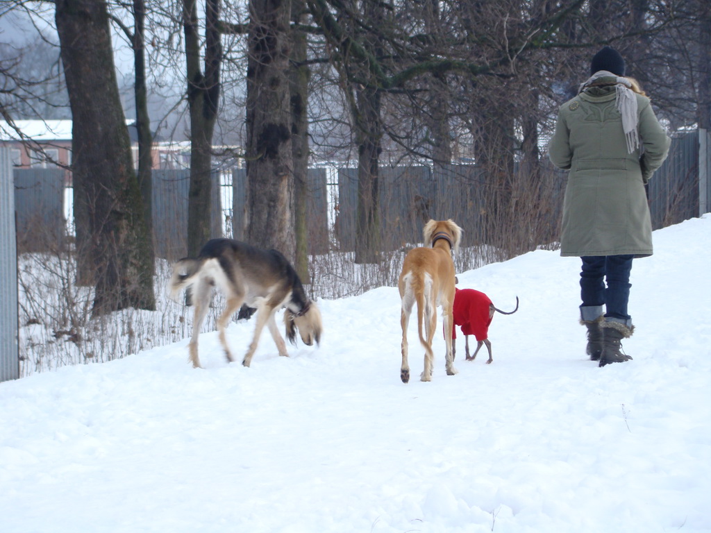 Anička 12.1.2008