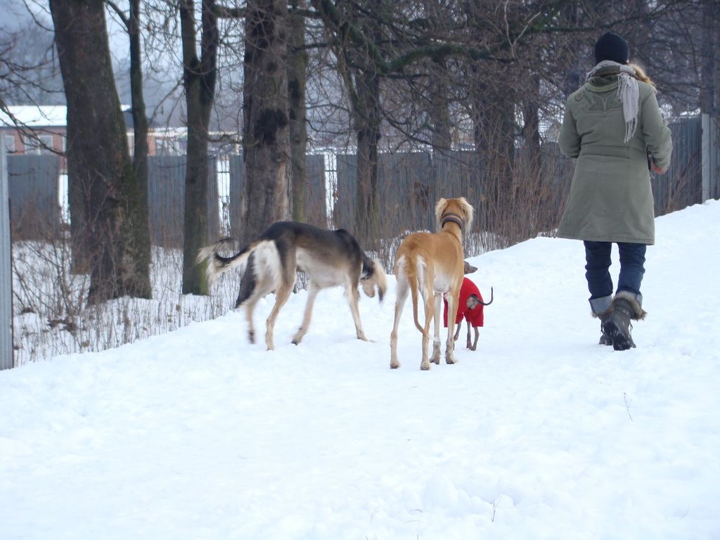 Anička 12.1.2008