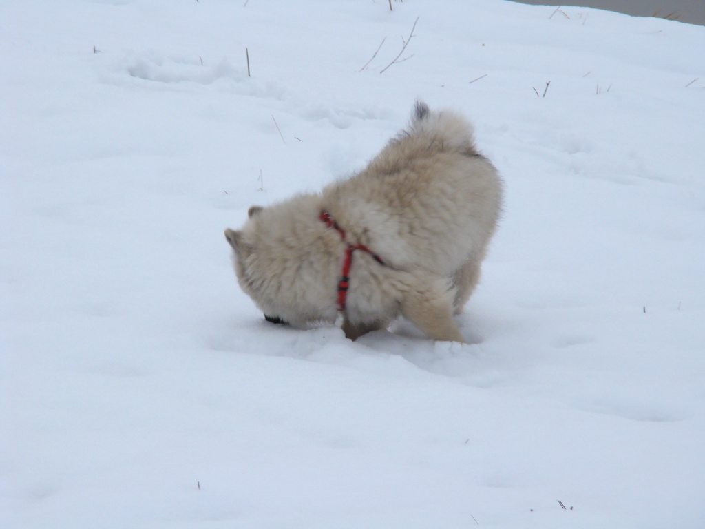 Anička 12.1.2008