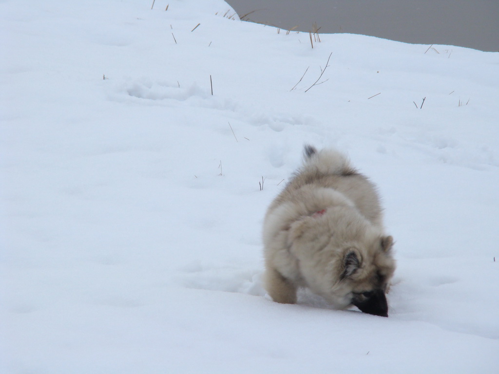 Anička 12.1.2008