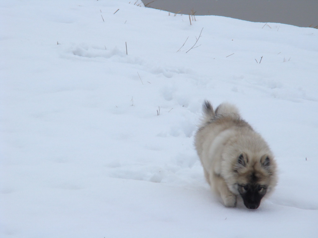 Anička 12.1.2008