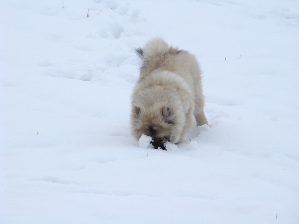 Anička 12.1.2008