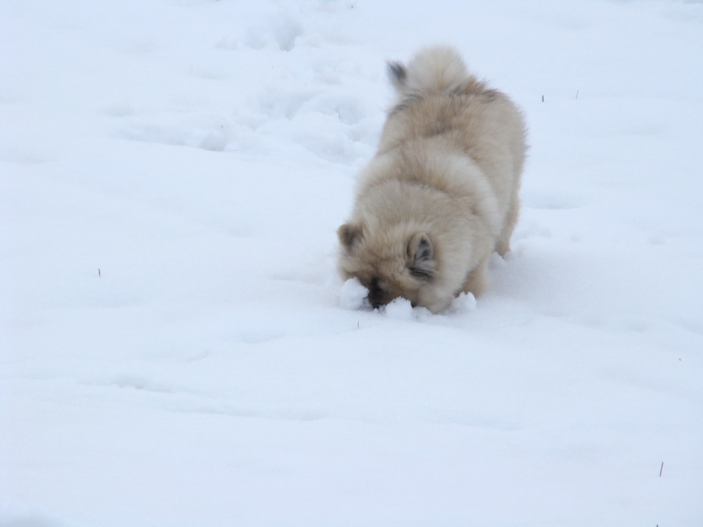 Anička 12.1.2008